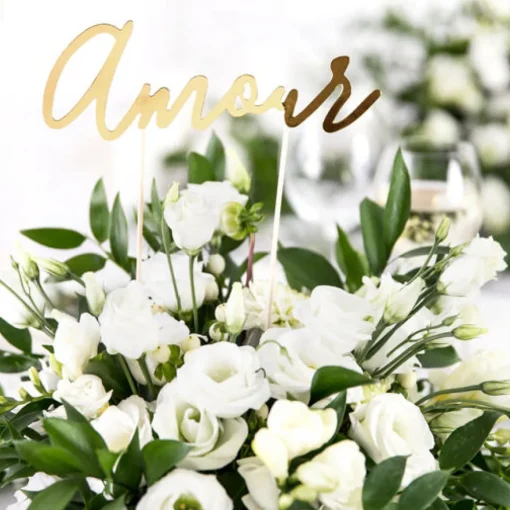 Amour Kaketopp Gull