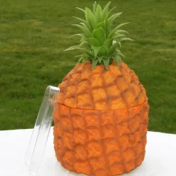 Ananas Isspann