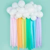 Balllongbue Regnbue Sky Backdrop