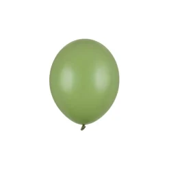 Ballonger Pastell Rosmarin Grønn
