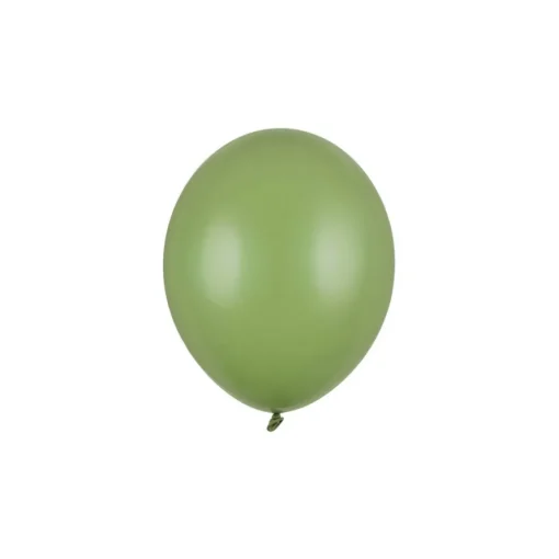 Ballonger Pastell Rosmarin Grønn