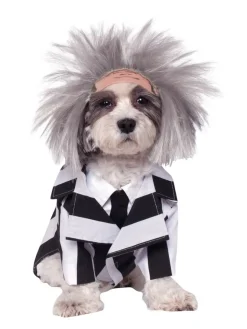 Beetlejuice® Hundekostyme