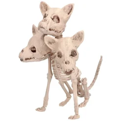 Cerberus Skjelett