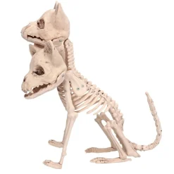 Cerberus Skjelett