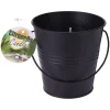 Citronella Lys Metallspann