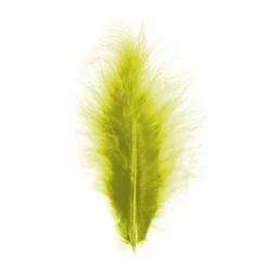 Dekorasjonsfjær Kiwi 10-15 cm