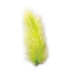 Dekorasjonsfjær Limegrønn 5-10 cm
