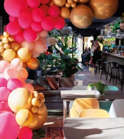 Deluxe Ballongbue Rosa