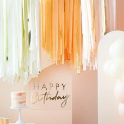 DIY Backdrop Laksefarge