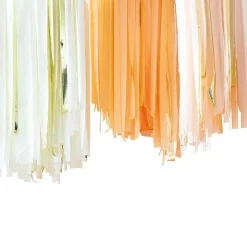 DIY Backdrop Laksefarge