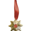 Dracula Medaljong
