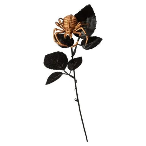 Edderkopp Blomst