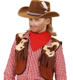 Elegant Cowboyhatt Barn Brun