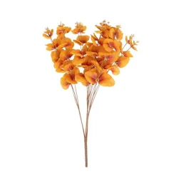 Eukalyptus Bukett Gul