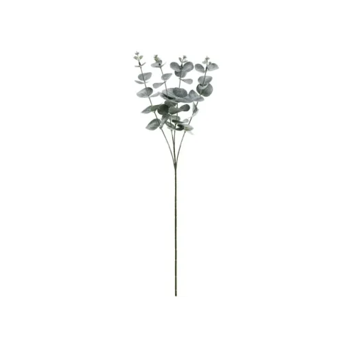 Eukalyptus Gren