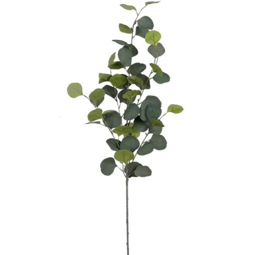 Eukalyptusgren