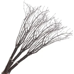 Fastelavnsris