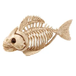 Fisk Skjelett