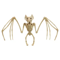 Flaggermus Skjelett