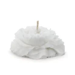 Flytelys Rose Lys Hvit