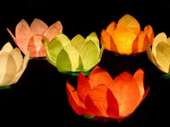 Flytende Blomsterlanterner