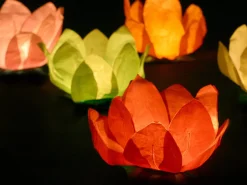 Flytende Blomsterlanterner