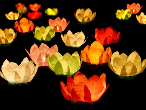 Flytende Blomsterlanterner
