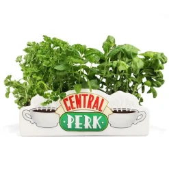 Friends® Central Perk Vase