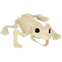 Frosk Skjelett