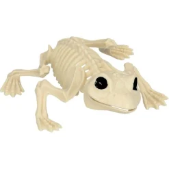 Frosk Skjelett