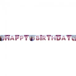 Frost 2® Happy Birthday Girlander