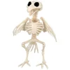 Fugl Skjelett