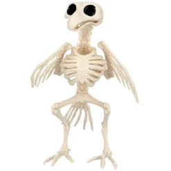 Fugl Skjelett