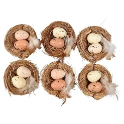 Fuglereir med Egg
