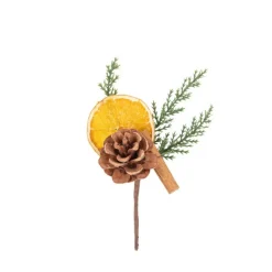 Furu med Tørket Appelsin & Kanel