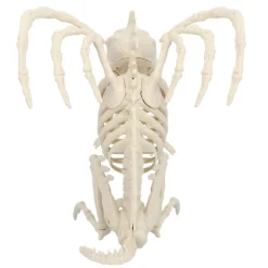 Gargoyle Skjelett