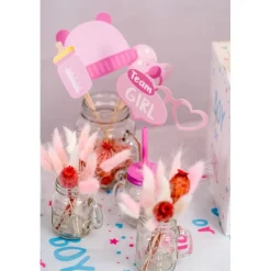 Gender Reveal Selfie Props