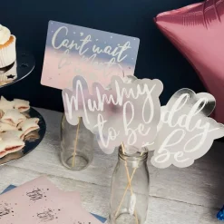 Gender Reveal Selfie Props