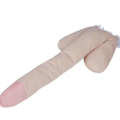 Gjennomsnittlig Penis