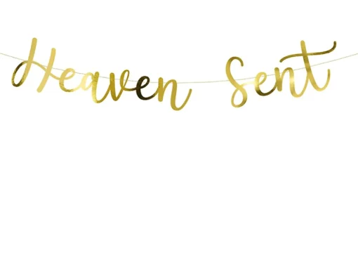 Gull Heaven Sent Banner