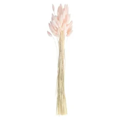 Harehale Evighetsbukett Rosa