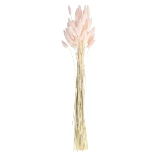 Harehale Evighetsbukett Rosa