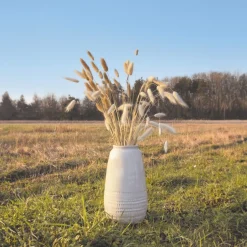Harelabber Bunt Naturbrun