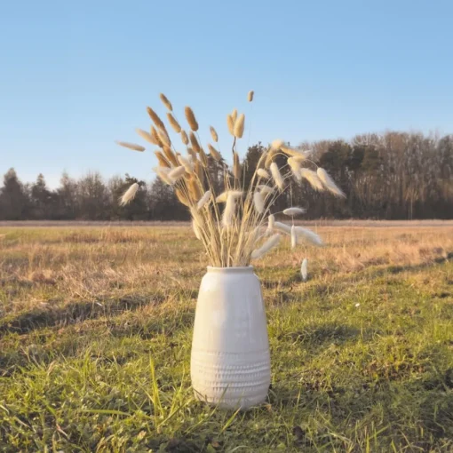 Harelabber Bunt Naturbrun