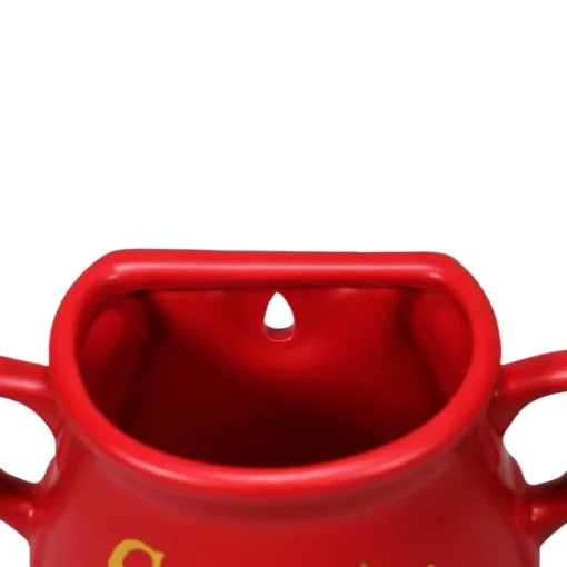 Harry Potter® Gryffindor Heksegryte Veggvase