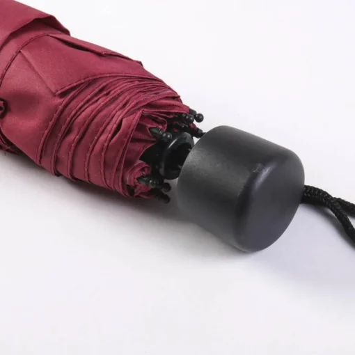 Harry Potter® Gryffindor Paraply