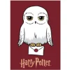 Harry Potter® Hedwig Fleecetæppe