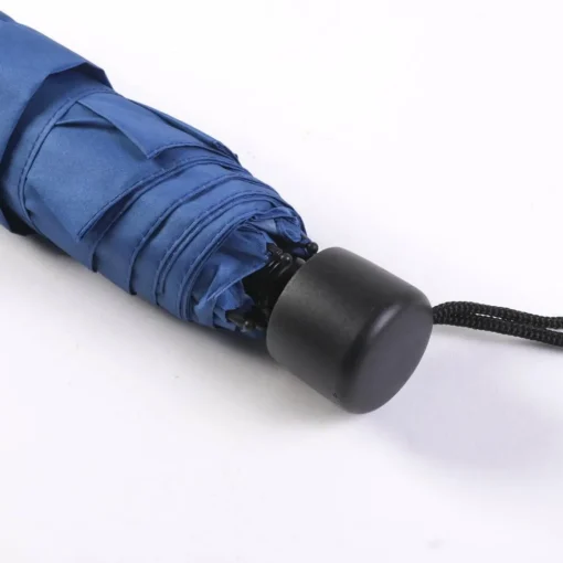 Harry Potter® Ravenclaw Paraply