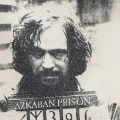 Harry Potter® Sirius Black Handlenett