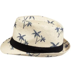 Hatt Palmønster
